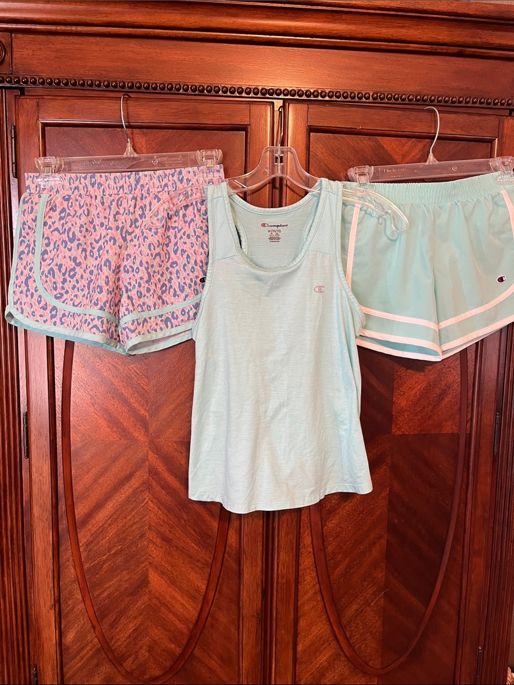 Champion Shorts and Tank
